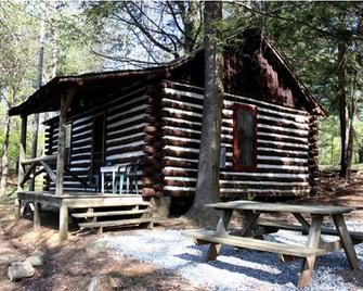 Historic one bedroom log cabin - Lake Lure