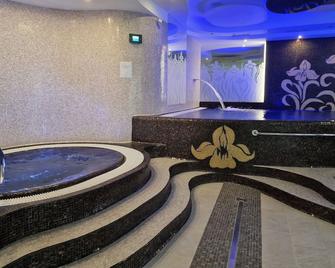 Spa Hotel Iris - Karlovy Vary - Pool