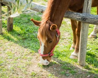 Platanorema - Agios Ioannis Prodromos