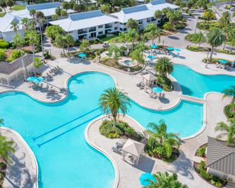 Saddlebrook Golf Resort & Spa Tampa North-Wesley Chapel - Wesley Chapel - Pool