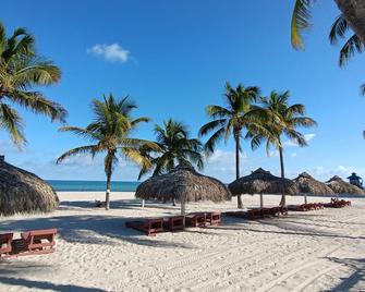 Sahara Beach Club - Sunny Isles Beach - Beach