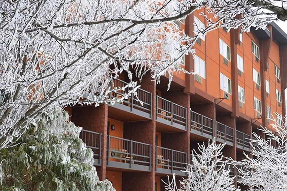 2bed/1bath Queen Jr Suite With A View & Water Park Passes Included - ווינסקונסין דלז - בניין