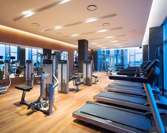 Novotel Ambassador Seoul Dongdaemun Hotels & Residences - Seoul - Gym