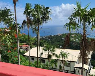 Panoramic Ocean View. - Saint Thomas Island - Outdoor view