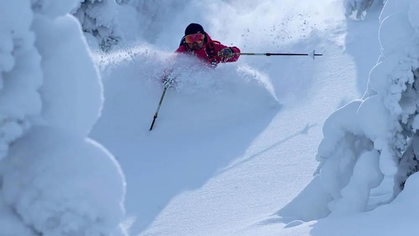 Worldtreck Dinner & Guesthouse Pise