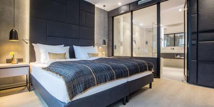 Image of hotel: Radisson Blu Hotel Mannheim