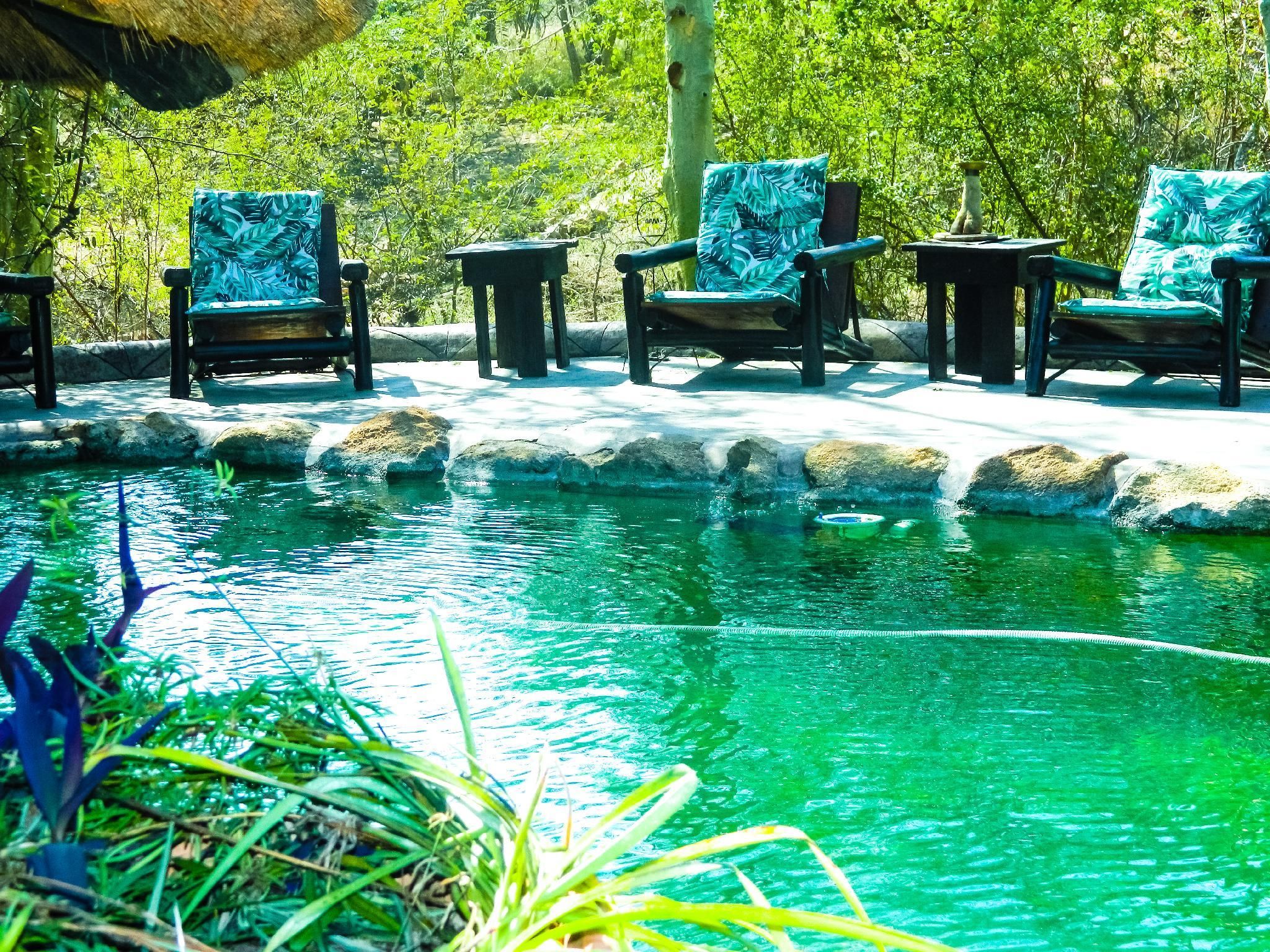 Mali Mali Safari Lodge - הודספרוט - בריכה