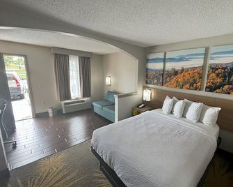 Days Inn & Suites by Wyndham Tuscaloosa - Univ. of Alabama - Tuscaloosa - Schlafzimmer