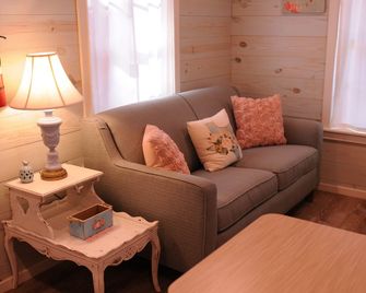 Cozy Cabin near the Comal River-Cabin #6- Shabby Chic Theme. Walk to Wurstfest - New Braunfels - Living room