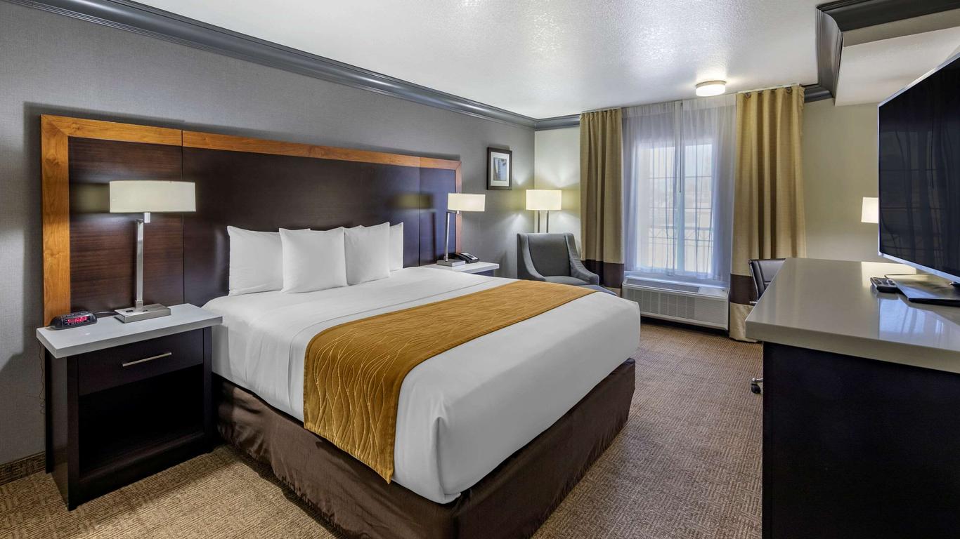 Comfort Inn & Suites Near Universal - N. Hollywood - Burbank