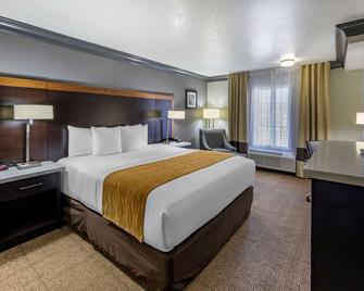 Comfort Inn & Suites Near Universal - N. Hollywood - Burbank - Los Angeles - Phòng ngủ