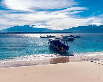 Kura Kura Resort - Pemenang - Playa