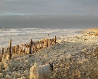 Converted barn near Hossegor - Saubion - Playa