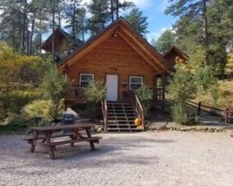 3 Custom Built Log Cabin Bordered by Black Hills National Forest - Keystone - Outdoors view