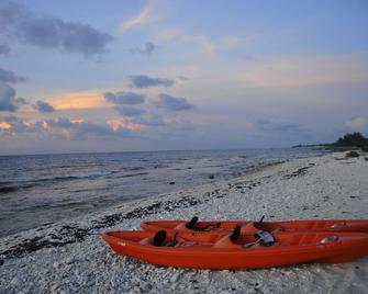 Pool, 5 bdrm, sandy beach, sunsets, quiet, cabana w/hammocks, bikes, well kept - West End - Playa
