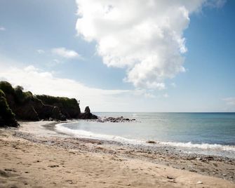 Killigarth Manor Holiday Park - Looe - Playa