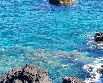 Absolute Ocean Front Home at Sea Level Hale Hokulani \'House of the Heavenly Star - Captain Cook - Pláž