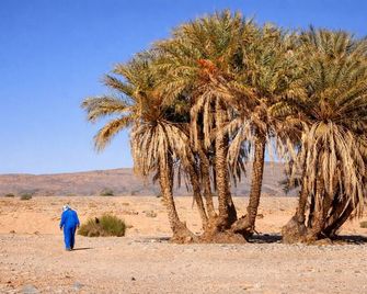 La Vallee des Dunes - Merzouga