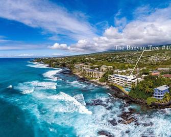 Banyan Tree 404d - Kailua-Kona