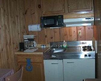 Comfortable Cabin Rentals with Lake Access near Boulder Junction in Wisconsin - Boulder Junction - Kitchen
