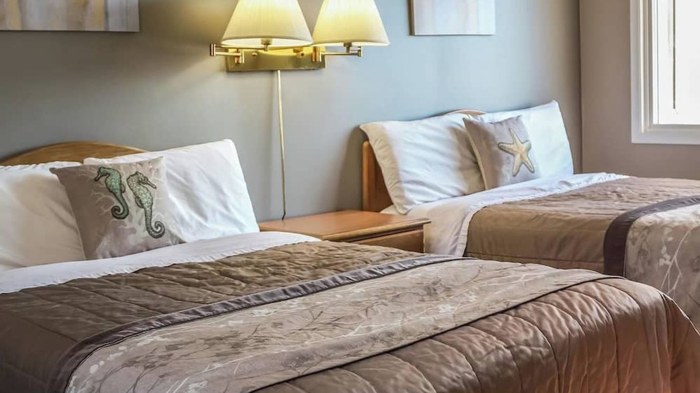 Coastal Inn - Kingfisher