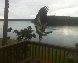 Kodiak Awesome View Vacation Rentals: The Captains Quarters - Kodiak - Balcony