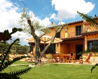 La Valle dei Casali B&B - Roma - Patio