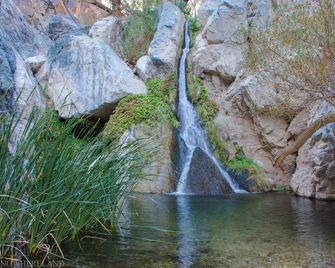 Panamint Springs Resort - Darwin