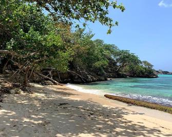 Jeff's Downstairs Room at Robin Hood guesthouse - Port Antonio - Playa