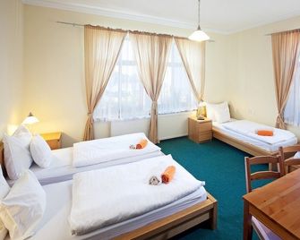 Pytloun Self Check-in Hotel Liberec - Liberec - Soveværelse