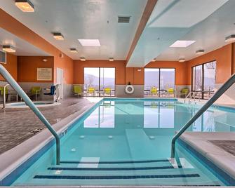Hampton Inn Williamsport-Downtown - Williamsport - Pool