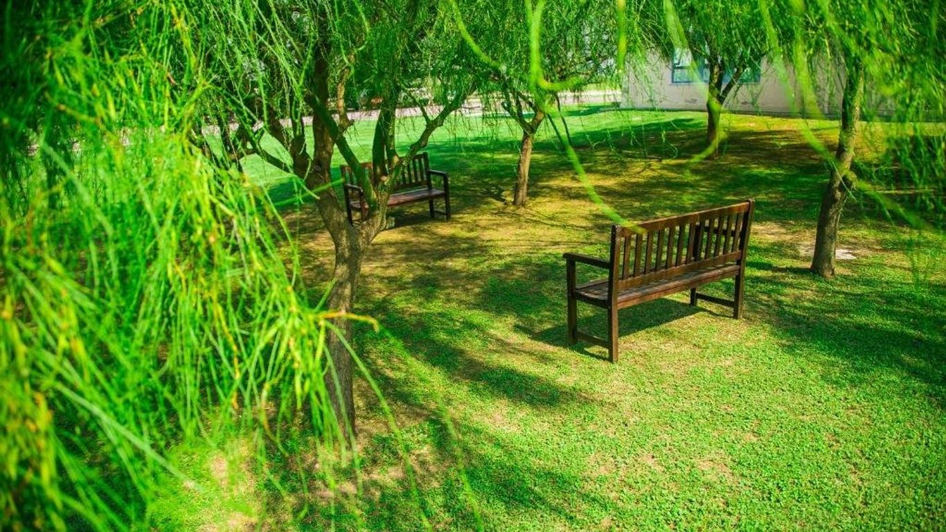 أميريان فيّا ماريا