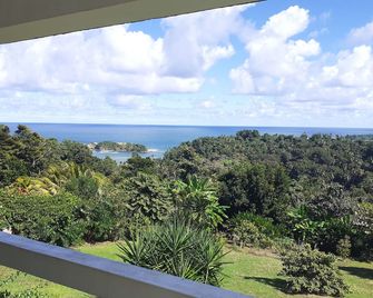 Charly's place - Calibishie - Balcony