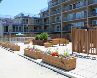 Efficiency with tropical coastal decor! - Rehoboth Beach - Building