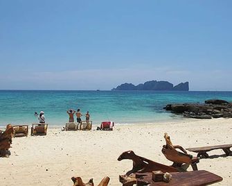 فايكنغ نايتشر ريزورت - جزر في في - شاطئ