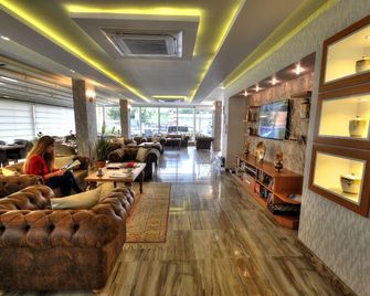 Golden Deluxe Hotel - אדנה - טרקלין