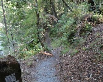 'Blue Heron' Suite River Access In Redwoods Wifi - Garberville
