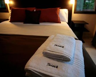 Blackstone Apart Boutique Hotel - וילה ג'נרל בלגראנו - חדר שינה