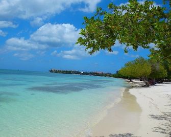 Victoria City Hotel - Oranjestad - Beach