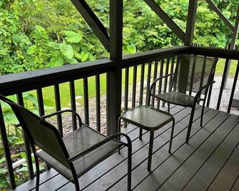 Remodeled cottage close to Springs and Gainesville - Alachua - Balcony