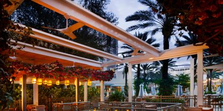 epithalon west palm beach Peptide Therapy Clinics in Lantana, FL Hilton West Palm Beach |