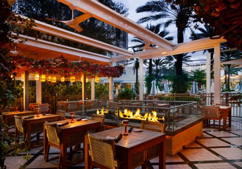 epithalon west palm beach Hilton West Palm Beach from $153. West Palm Beach Hotel Deals & Reviews