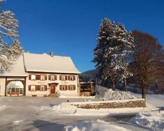 Hotel Landgasthof zum Pflug - Steinen - Building