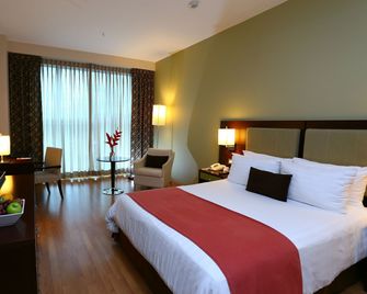 Hotel Ciudad De David - David