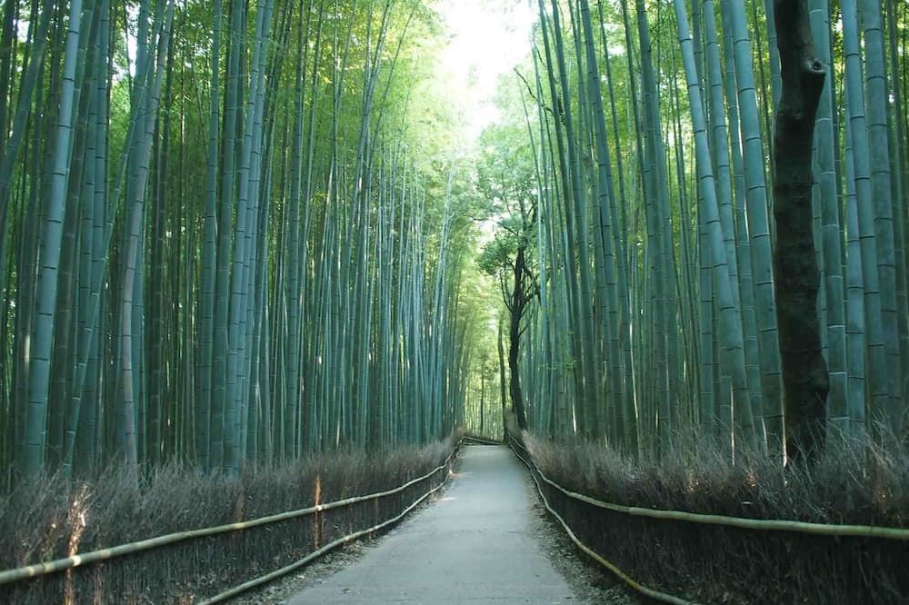 Guest House Kyoto Inn - Kyoto - Outdoor view