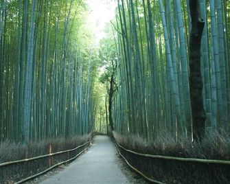 Guest House Kyoto Inn - Kyoto - Outdoor view