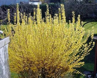 Ferienwohnung Gersprenztal - Reichelsheim