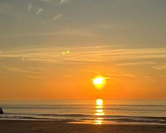 Leoicom - Zandvoort - Beach