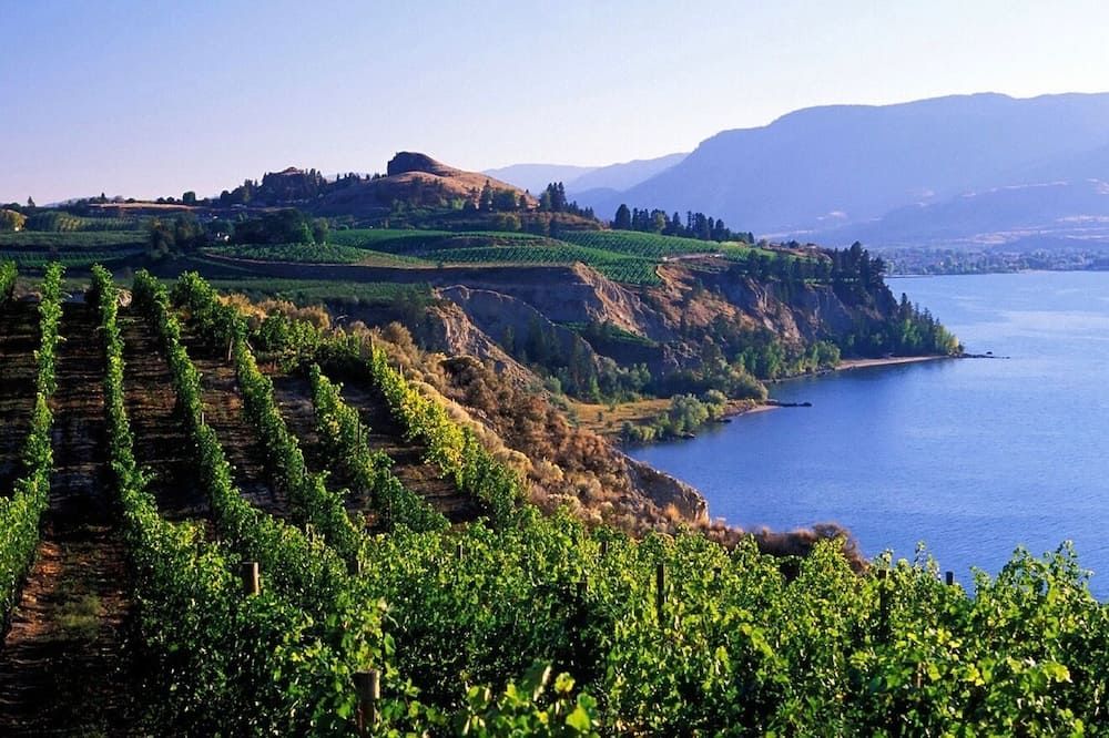 Copper Oasis - West Kelowna - Außenansicht