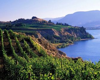 Copper Oasis - West Kelowna - Outdoor view